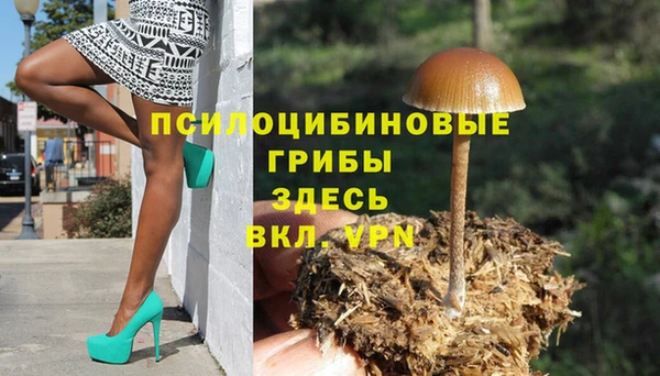 гидропоника Абдулино