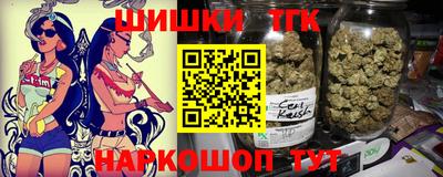 крисы Можга