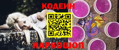 крисы Можга