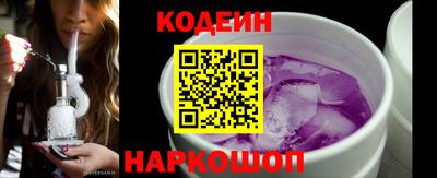 крисы Можга
