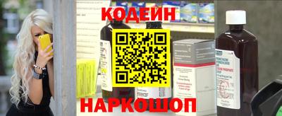 крисы Можга
