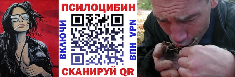 как найти   Новоалтайск  Псилоцибиновые грибы Magic Shrooms 