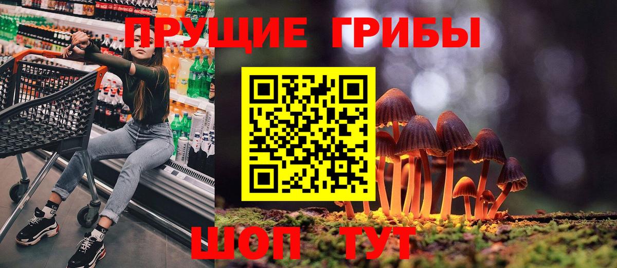 Галлюциногенные грибы мицелий Новоалтайск