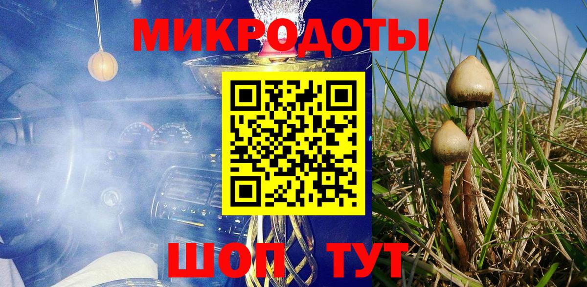 Псилоцибиновые грибы Psilocybine cubensis  Псилоцибиновые грибы мицелий  Новоалтайск  Вход с VPN 