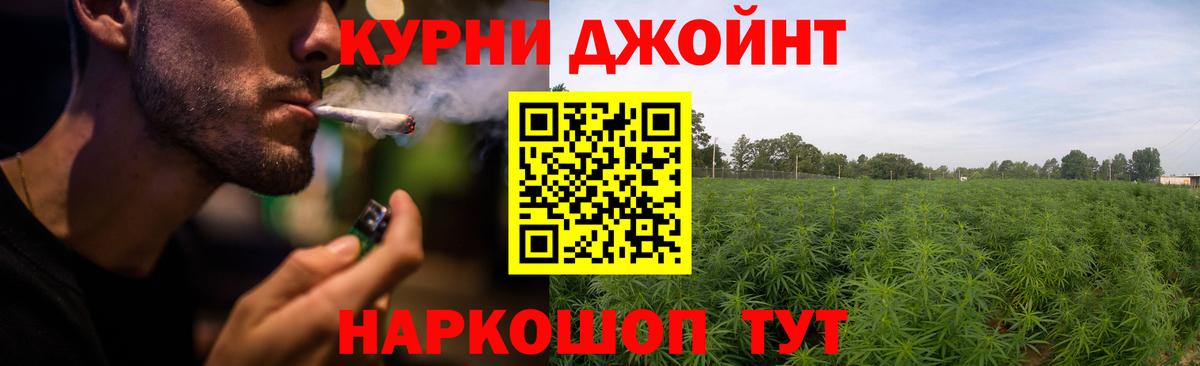 Конопля VHQ  Конопля LSD WEED  Новоалтайск  Каннабис AK-47  Шишки марихуана семена  Вход с VPN 
